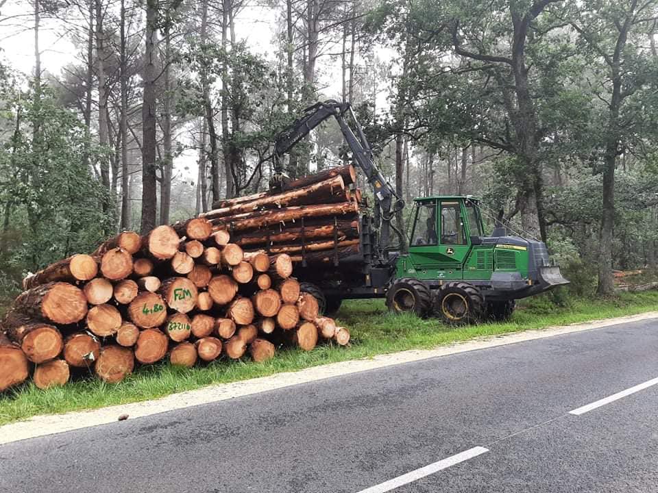 Débardage bois en Indre et Loire